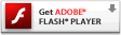 FlashPlayer_E[h